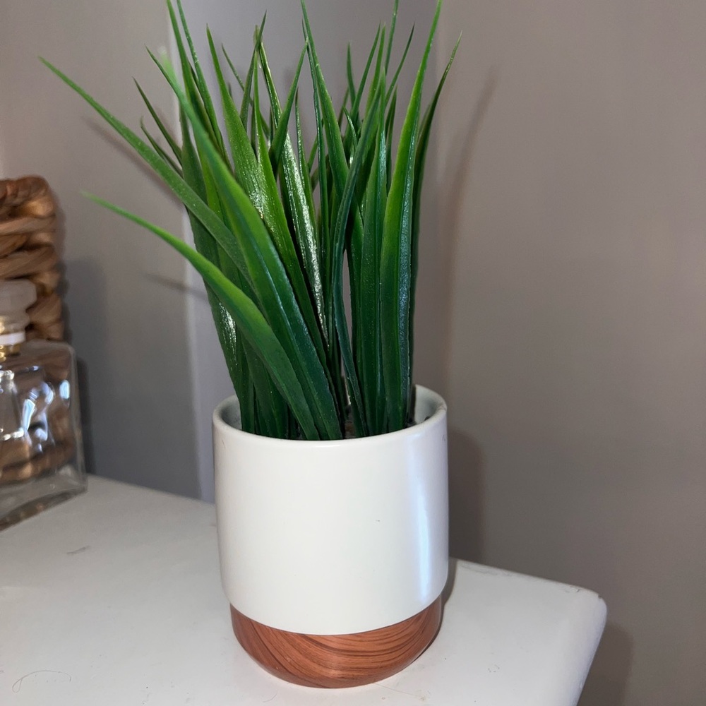 Small fake plant
